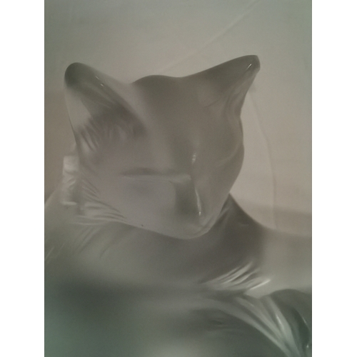 116 - Lalique paperweight of a cat with original box HAPPY CAT ex condition 19cm x 18cm