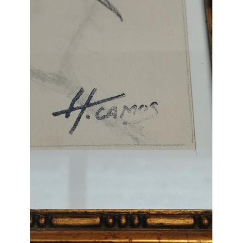 36 - A framed drawing of 2 Songbirds by signed Honoré CAMOS 1906-1991