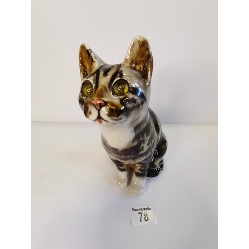 78 - Winstanley cat size 3