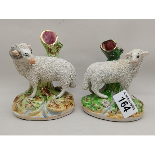 164 - x2 Victorian Staffordshire lambs (1860)