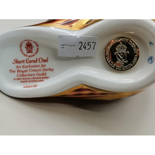 230 - Crown Derby Short Eared Owl Guild Exclusive 2008 MMVIII with box and gold stopper