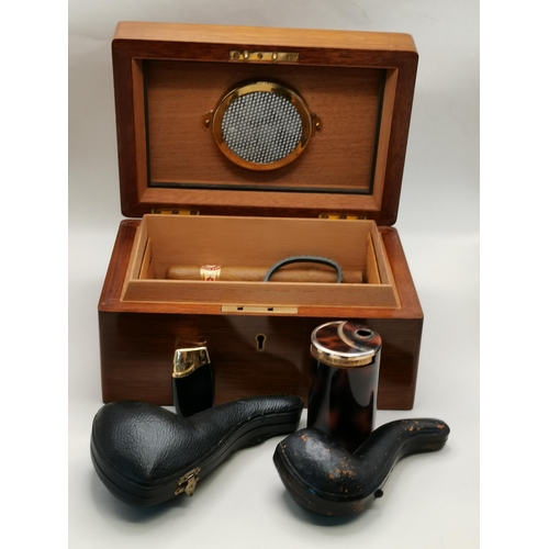 61 - Humidor Cigar box with cigars and Meerschaum hand crafted pipes etc