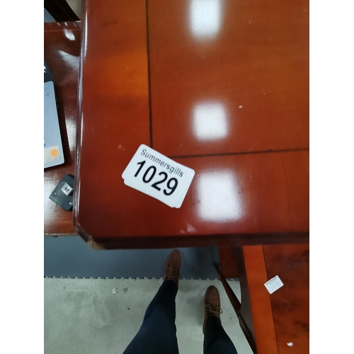 Lot 1029      