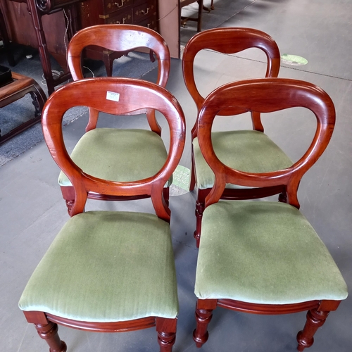 1137 - Set of 12 Victorian Balloon back dining chairs