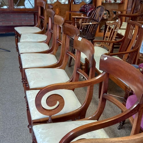 702 - Victorian dining chairs 6 plus 2 carvers