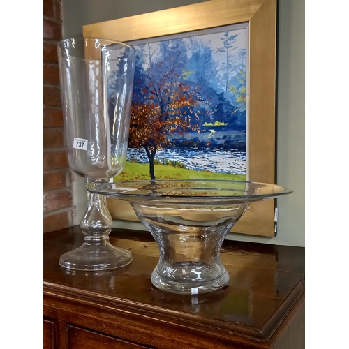 737 - 2 x large glass vases