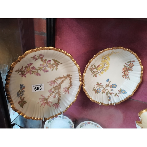 663 - 2 x 19th Century Royal Worcester plates 23cm diameter scalloped rim