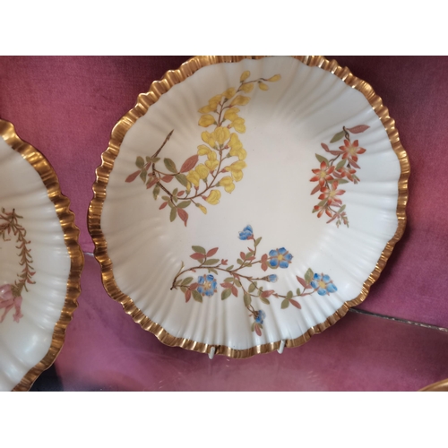 663 - 2 x 19th Century Royal Worcester plates 23cm diameter scalloped rim