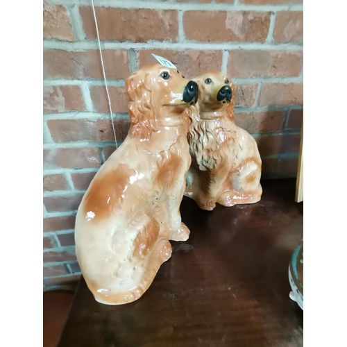 679 - X2 Staffordshire Dogs H34cm