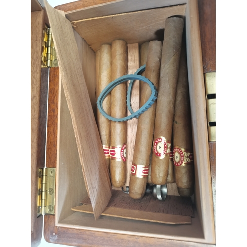 61 - Humidor Cigar box with cigars and Meerschaum hand crafted pipes etc