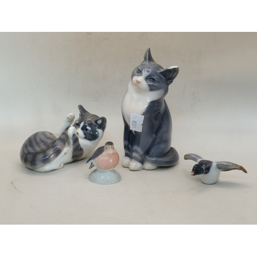 Lot 55        
