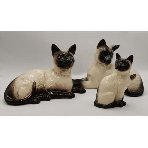 121 - A set of Berwick siamese cat figures