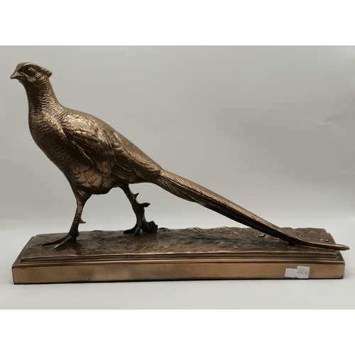 37 - A beautiful Bronze statue of a Pheasant - L30cm x H21cm