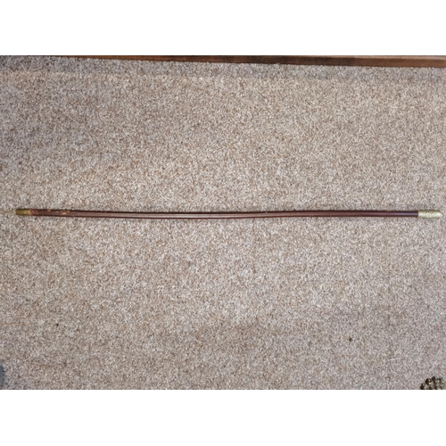 693a - Sherwood Forester Regiment swagger stick