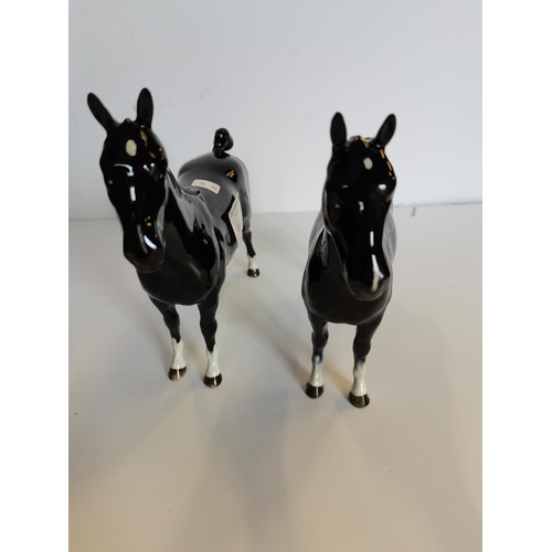116 - x2 Beswick Hackney Horses “ Black Magic of Work “ and “ Black Magic of Nork “ with rare white lossag... 