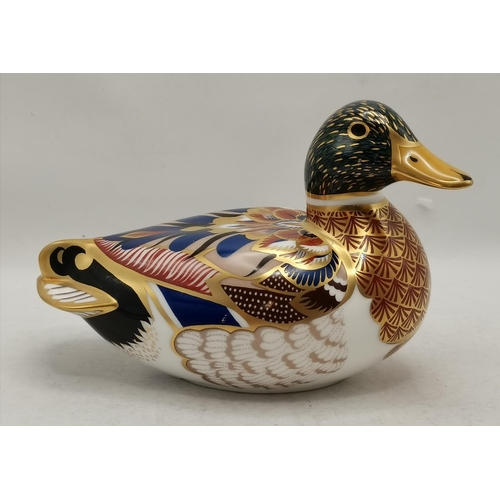 140 - Royal Crown Derby Paperweight - Mallard Duck. Gold Stopper and with original box