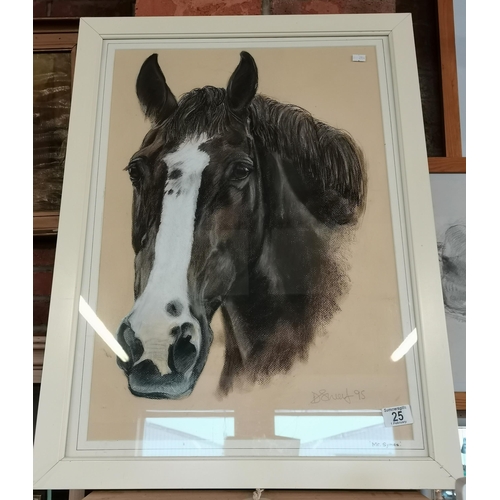 25 - Portrait of a horse, 'Mr Symes', pastel on paper, indistinctly signed (D.Sheaf?) and dated '95 in pe... 