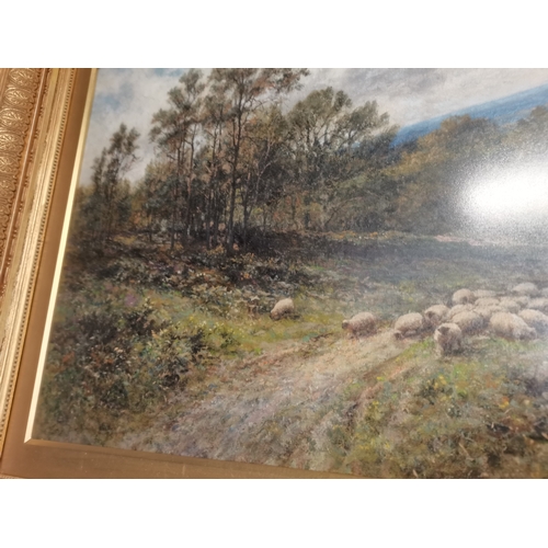 571 - 19th Century Oil painting of Sheep in a valley signed A.A Glendening 1903 bottom right Framed under ... 