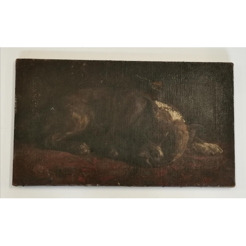 87 - Portrait of a resting dog, oil on canvas, indistinctly signed [?? Gray] lower right. 31cm by 53.5cm