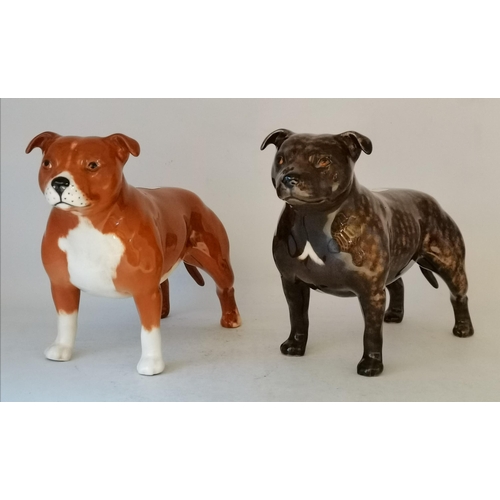 91a - Staffordshire Bull Terrier “ Bandits Brintiga “  brindle 1st version plus  Staffordshire Bull Terrie... 