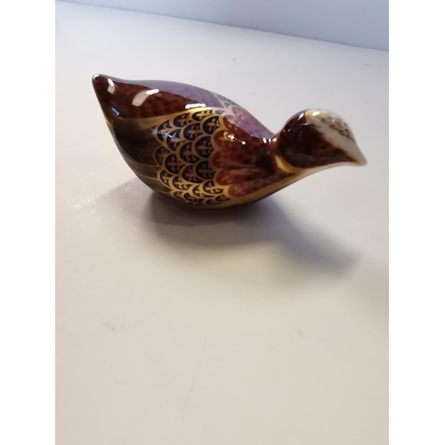 163 - Royal Crown Derby Paperweight - Coot with Gold Stopper and original box