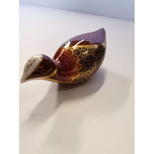 163 - Royal Crown Derby Paperweight - Coot with Gold Stopper and original box