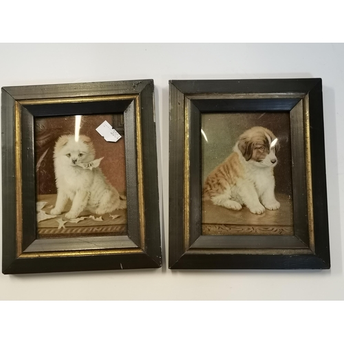 180 - Pair of framed antique miniatures of two dogs 17cm x 14cm (incl frames)