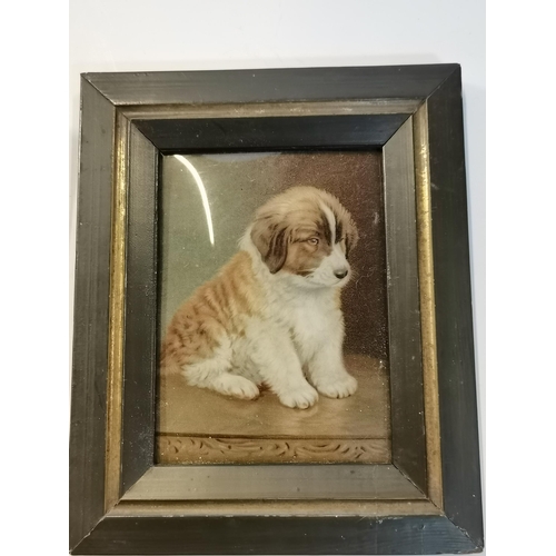 180 - Pair of framed antique miniatures of two dogs 17cm x 14cm (incl frames)