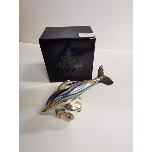 188a - Royal Crown Derby Paperweight - Striped Dolphin Royal Limited edition of 1500.  This is number 1168.... 