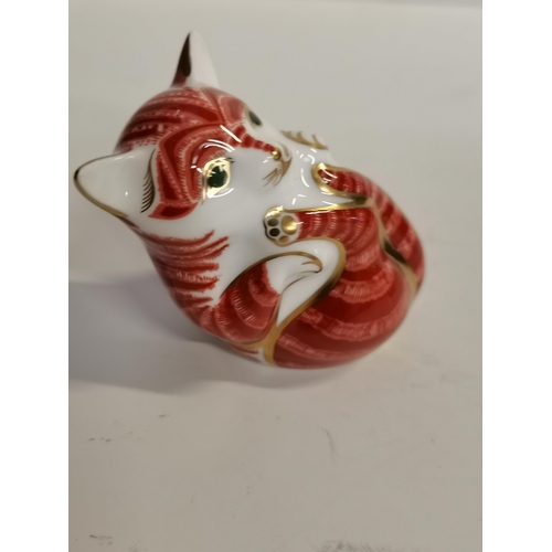 190d - Royal Crown Derby Paperweight - Playful Ginger Kitten Limited Edition H6.5cms TALL. DESIGNED BY ROBE... 