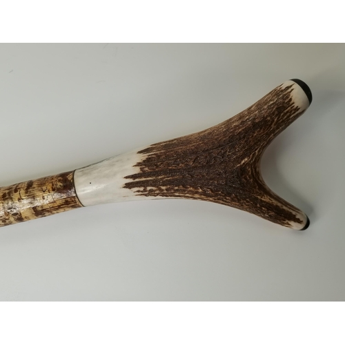 524 - An antler handle walking thumb stick/staff, capped with black horn, metal ferrule to bottom. 154.5cm... 