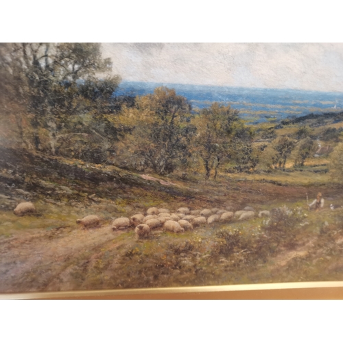 571 - 19th Century Oil painting of Sheep in a valley signed A.A Glendening 1903 bottom right Framed under ... 