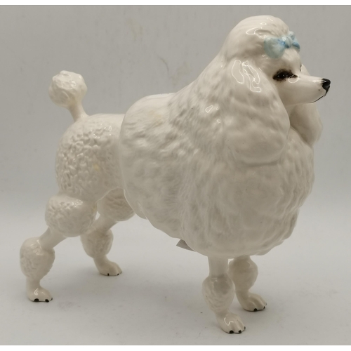 172 - A Beswick French Poodle 'Ivanola Gold Digger' with blue bow, model no. 2108, white gloss; together w... 