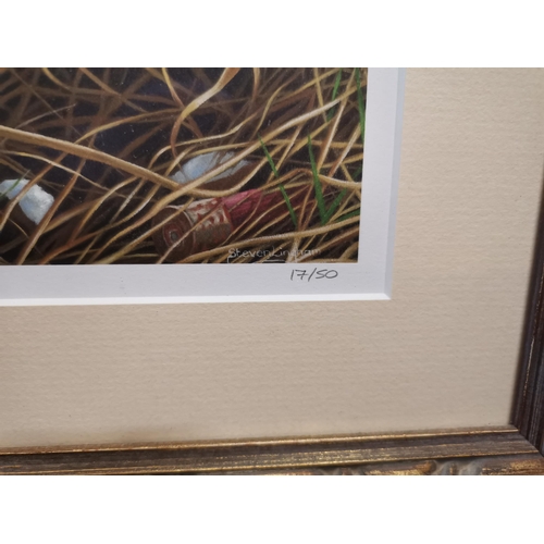 230a - Signed .Stephen Lingham Ltd edition print of pheasant 17/50 in Gilt frame - w62cm x H46cm (frame)