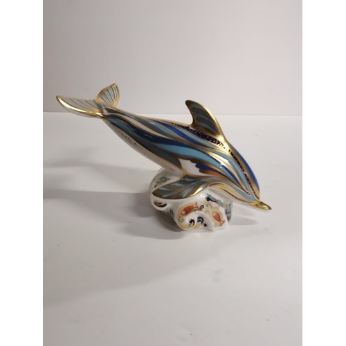 236 - Royal Crown Derby Paperweight - Striped Dolphin Royal Limited edition 1168 of 1500. Modelled by Robe... 