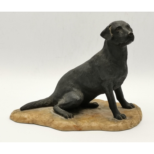 71 - A group of three model figures comprising a Border Fine Arts black labrador dog by Ray Ayres; a Leno... 