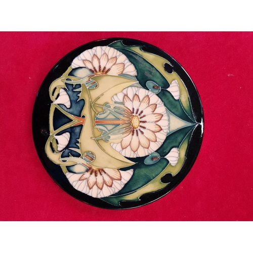 535 - A Moorcroft pottery plaque, circular, tubelined and hand-painted with dandelions and leaves to a dar... 