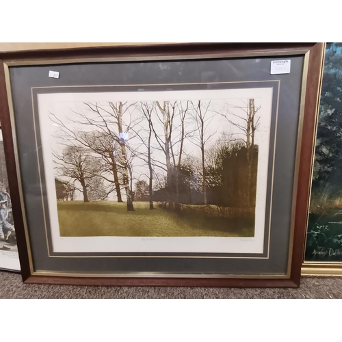 548G - Stanley Dollimore (British, 1915-2001), Trees over a stream, oil on canvas, signed lower left, frame... 