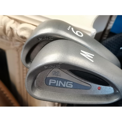 808 - Ping ladies half set golf clubs in carry/stand bag