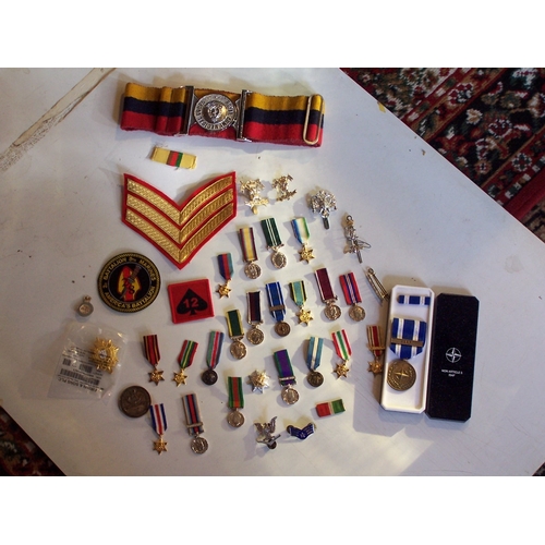 481 - A collection of military badges and cloth insignia, both British and Foreign. Also a selection of Br... 