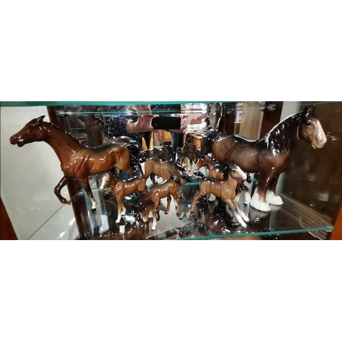 154 - x1 Beswick Bay Shire Horse, x1 Bay Thoroughbred x5 bay foals