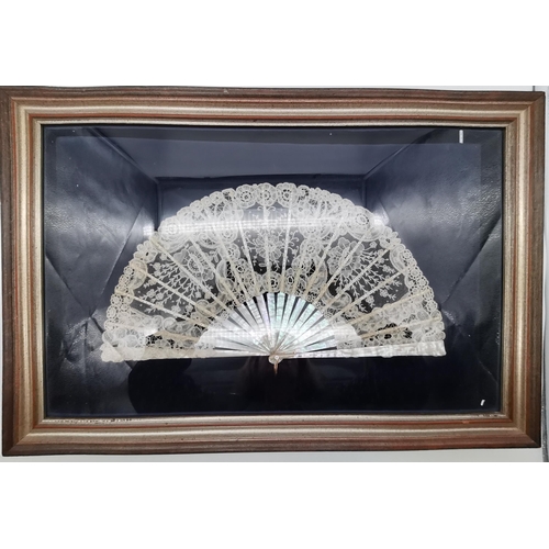 164 - Vintage large mother of pearl and floral lace hand fan mounted in shadow box