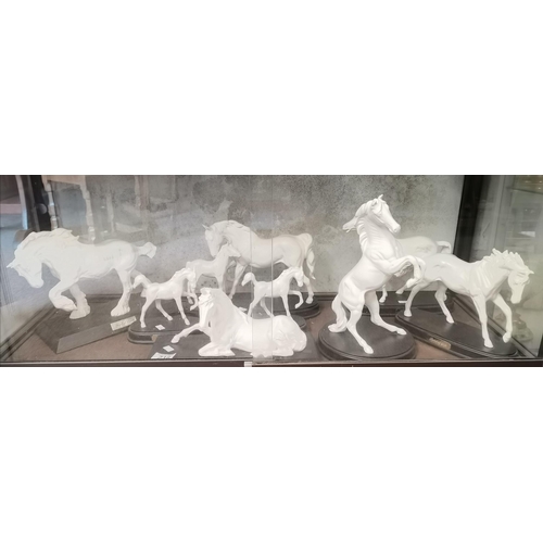 216 - A group of eight ceramic horse figures, matt white, including Beswick 'Spirit of Earth', Royal Doult... 