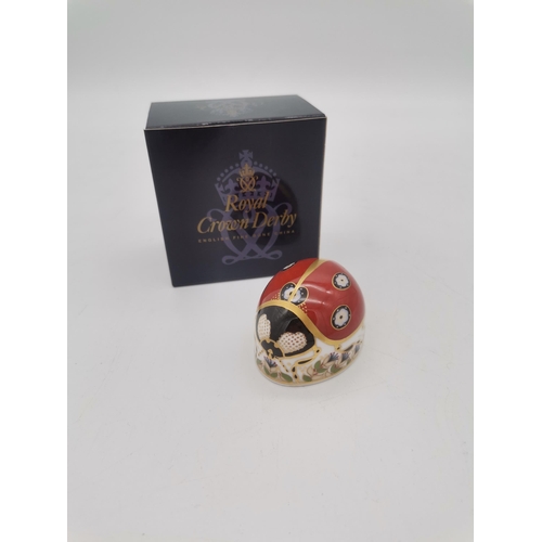 278 - Royal Crown Derby Ladybird Seven Spot paperweight with gold stopper and box