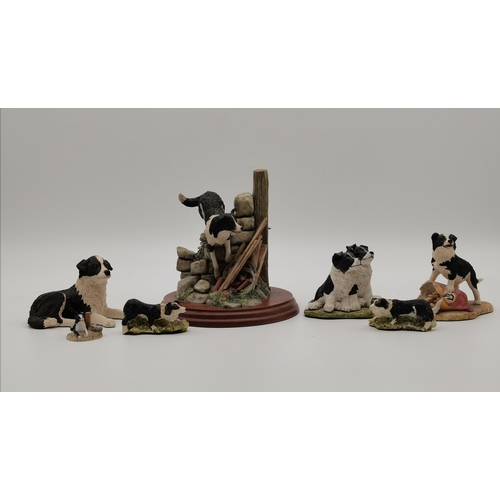 137 - A collection of Border Collie figures by Border Fine Arts and others (7)