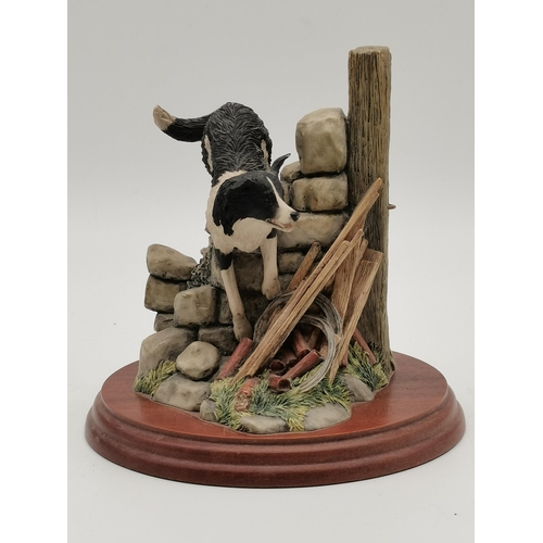 137 - A collection of Border Collie figures by Border Fine Arts and others (7)