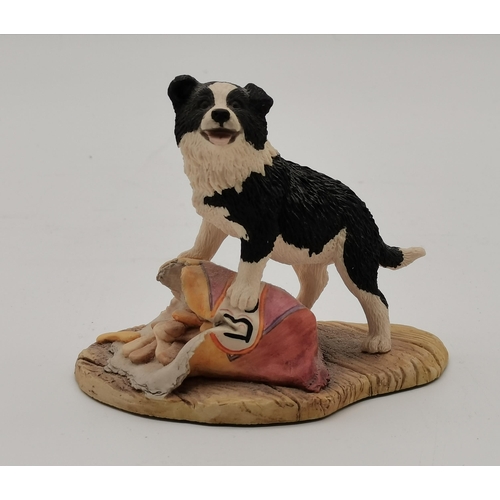 137 - A collection of Border Collie figures by Border Fine Arts and others (7)