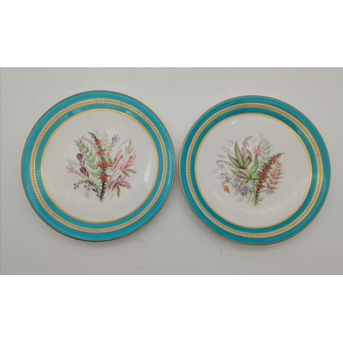 151 - A Pair of late 19th century Royal Worcester Botanical porcelain desert plates and cake stands with h... 