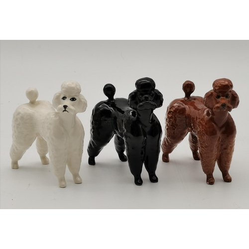 157 - x3 Beswick Poodles black, brown and white