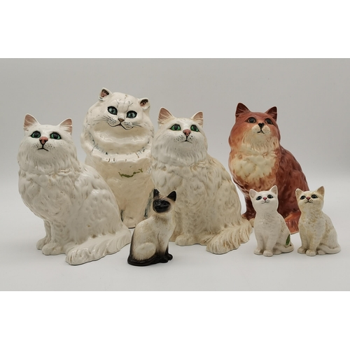 170 - x6 Beswick Cats including Siamese kitten 887, 2 cream kittens, 2 large white Persian cats 1867, Larg... 